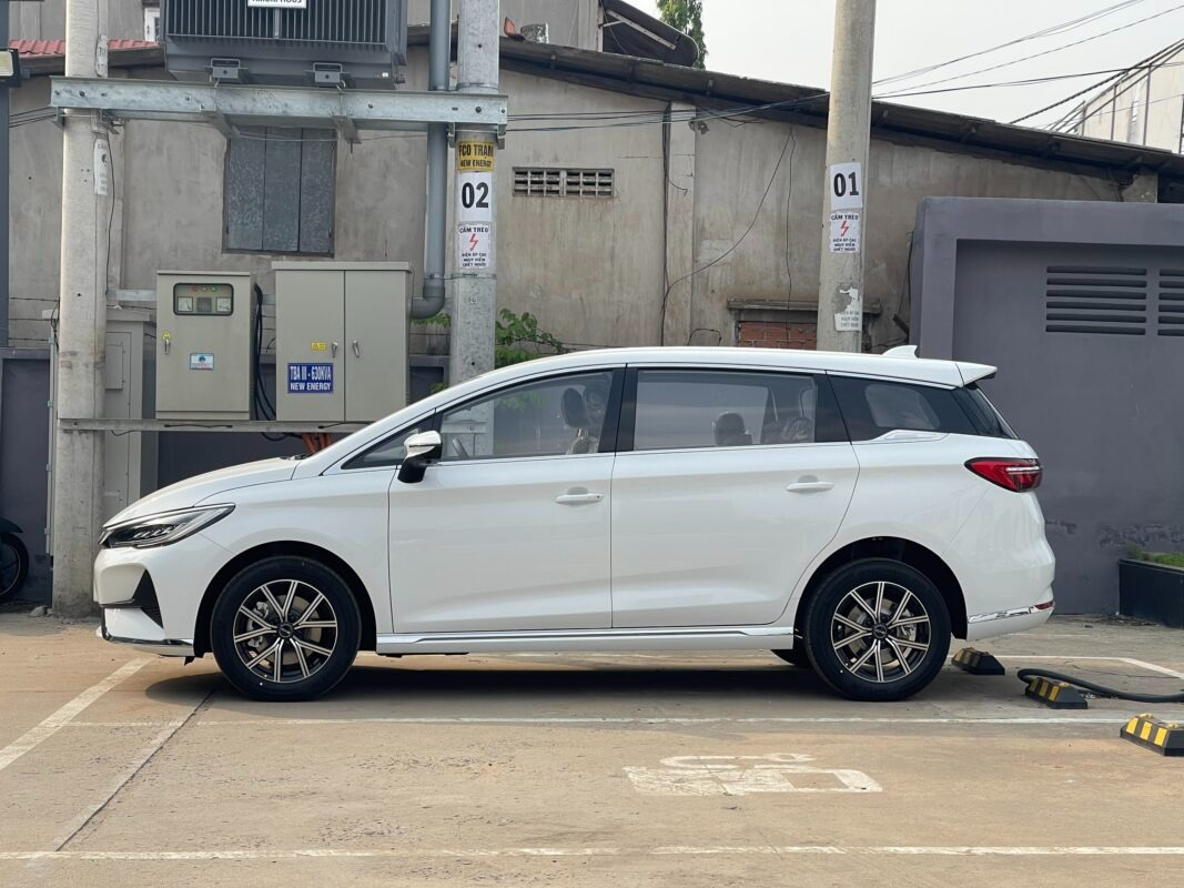 BYD M6